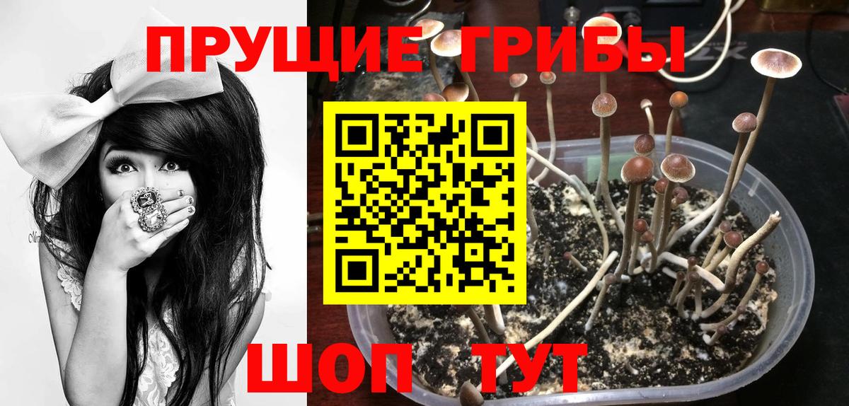 Псилоцибиновые грибы мухоморы Родники