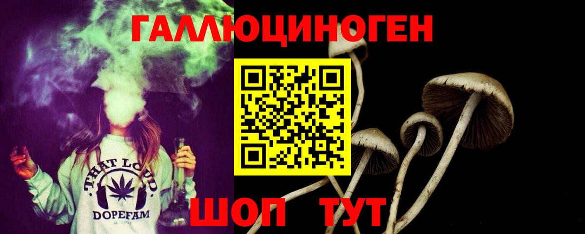 Родники  Галлюциногенные грибы MAGIC MUSHROOMS  Псилоцибиновые грибы прущие грибы  Вход с VPN 